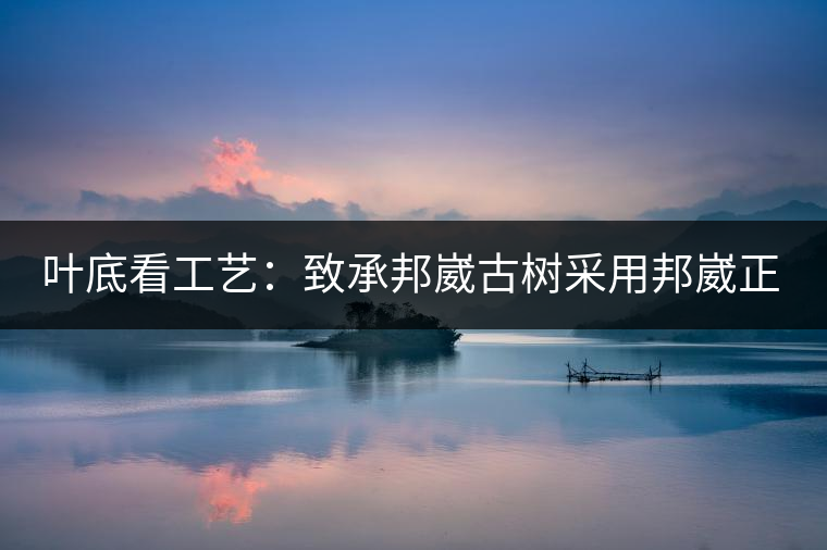 葉底看工藝：致承邦崴古樹(shù)采用邦崴正山三百至五百年古茶樹(shù)頭春鮮葉。經(jīng)手工殺青，石墨壓制，餅型周正，嚴(yán)守傳統(tǒng)工藝；葉底鮮活，幾乎無(wú)糊點(diǎn)，前期殺青較輕，這樣更利于后期轉(zhuǎn)化。