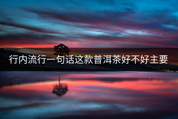 行內(nèi)流行一句話這款普洱茶好不好主要還看尾水，雖然比較片面但是也有一定道理。