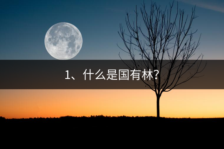 1、什么是國有林？