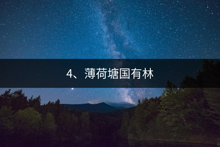 4、薄荷塘國有林