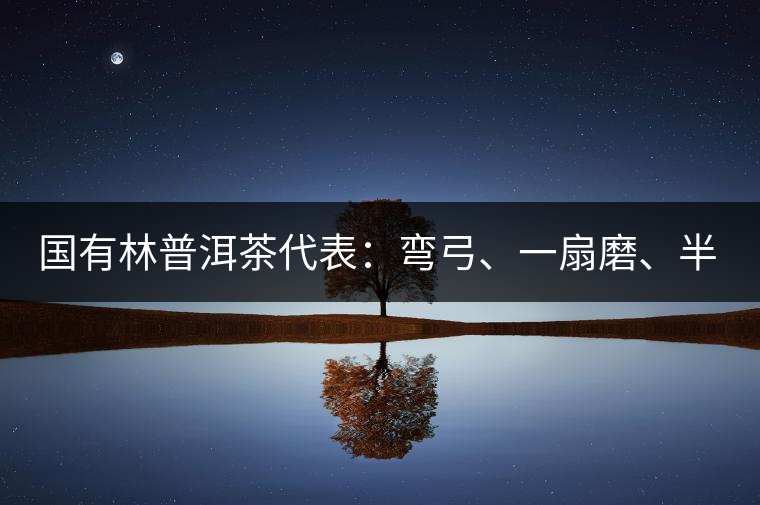 國有林普洱茶代表：彎弓、一扇磨、半坡老寨