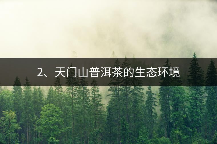 2、天門山普洱茶的生態(tài)環(huán)境