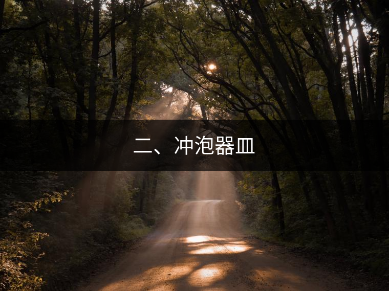 二、沖泡器皿