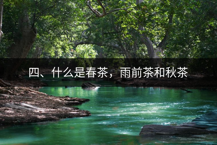 四、什么是春茶，雨前茶和秋茶
