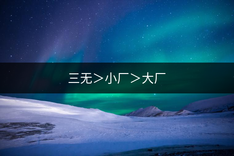 三無(wú)＞小廠＞大廠