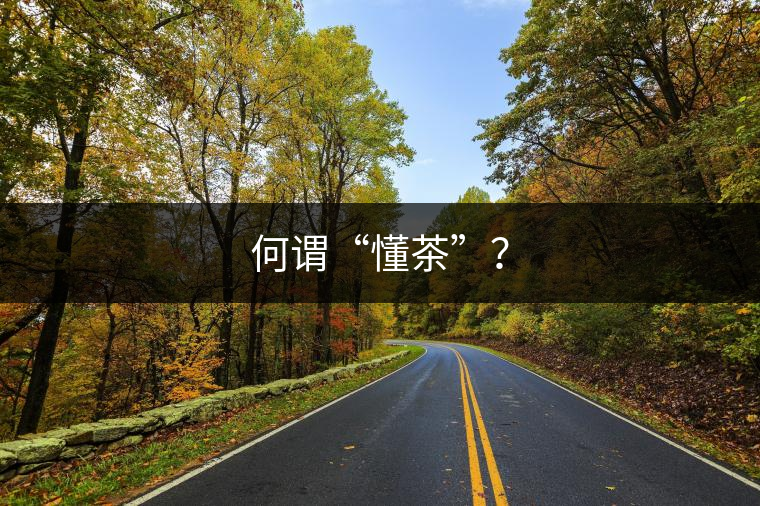 何謂“懂茶”？