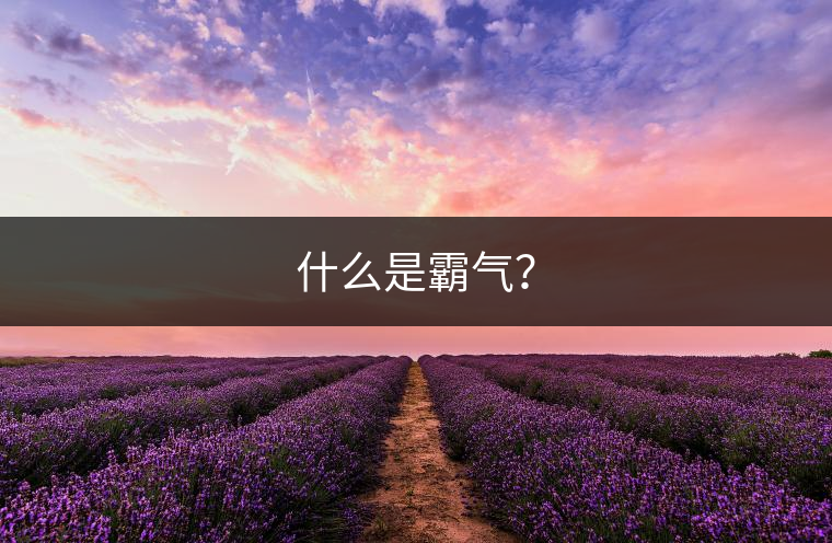 什么是霸氣？