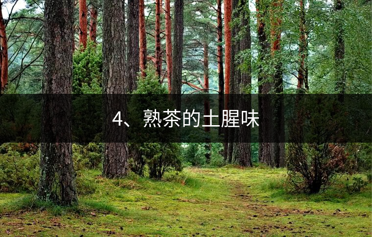 4、熟茶的土腥味