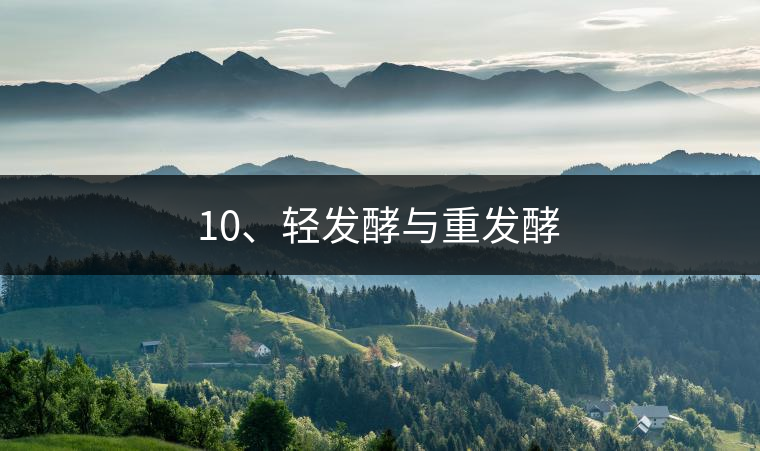 10、輕發(fā)酵與重發(fā)酵