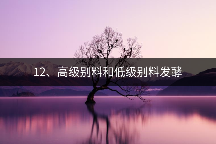 12、高級別料和低級別料發(fā)酵