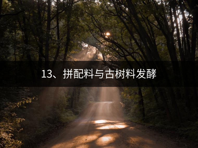 13、拼配料與古樹料發(fā)酵