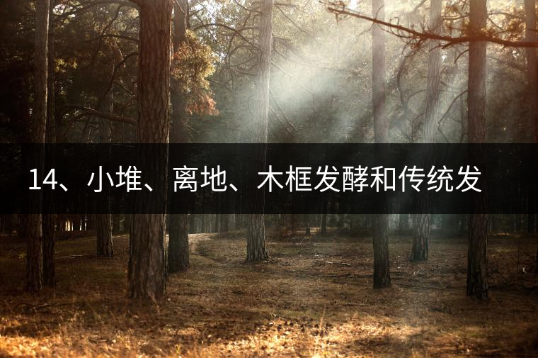 14、小堆、離地、木框發(fā)酵和傳統(tǒng)發(fā)酵