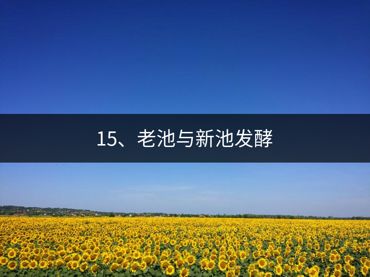 15、老池與新池發(fā)酵