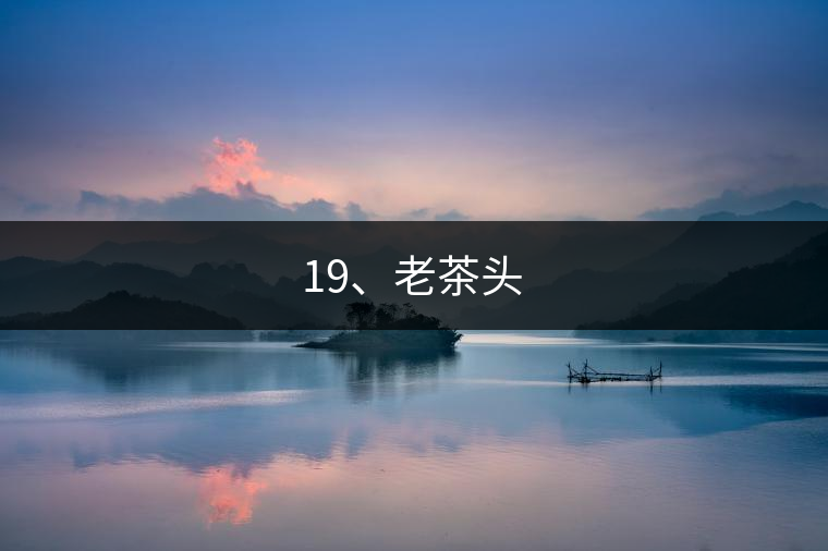 19、老茶頭