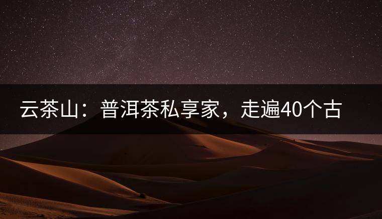 云茶山：普洱茶私享家，走遍40個古寨，24小時提供專家評分與產地茶農一手報價