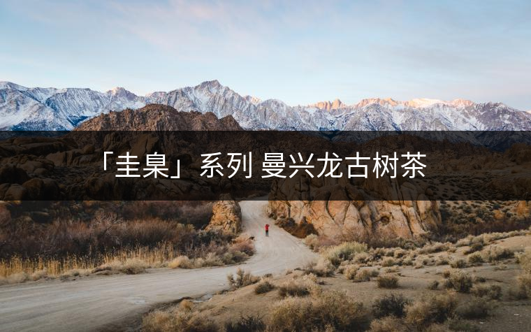 「圭臬」系列 曼興龍古樹(shù)茶