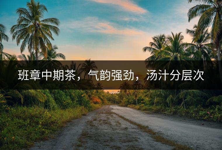 班章中期茶，氣韻強(qiáng)勁，湯汁分層次