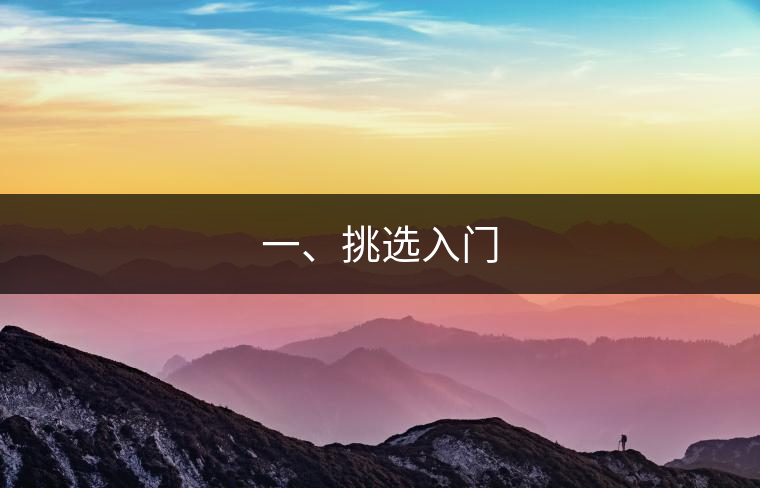 一、挑選入門