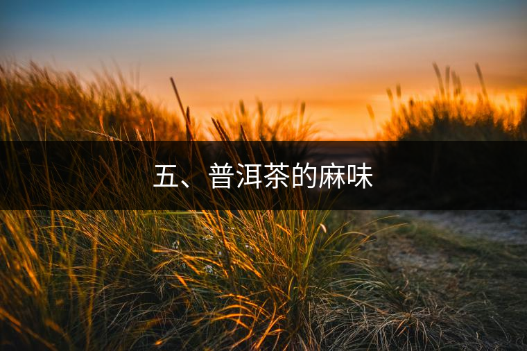 五、普洱茶的麻味