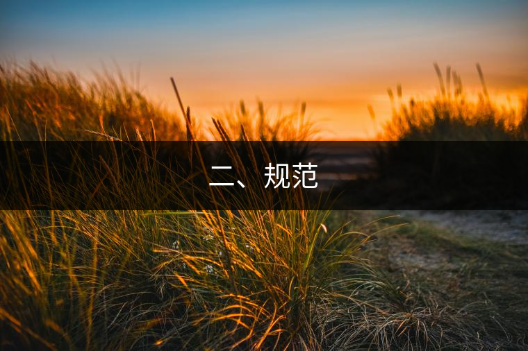 二、規(guī)范