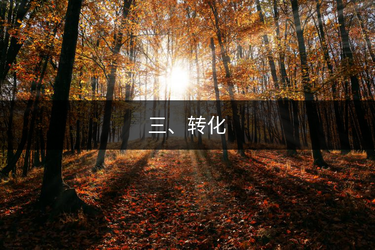 三、轉(zhuǎn)化