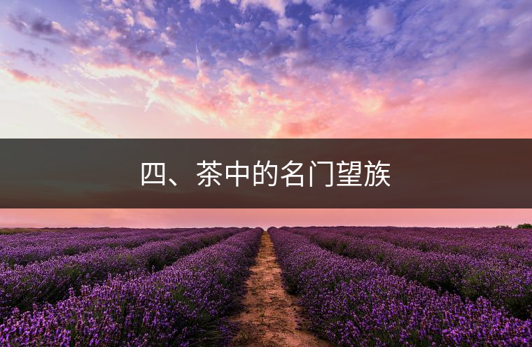 四、茶中的名門望族