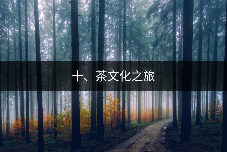十、茶文化之旅