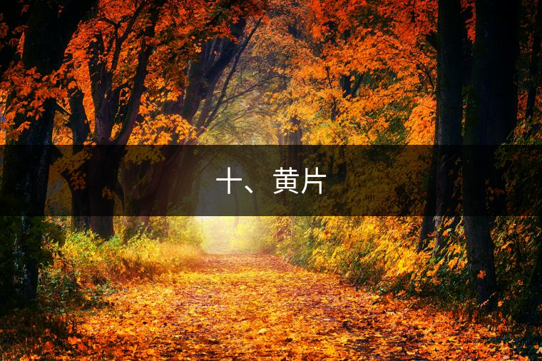 十、黃片