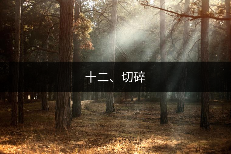 十二、切碎