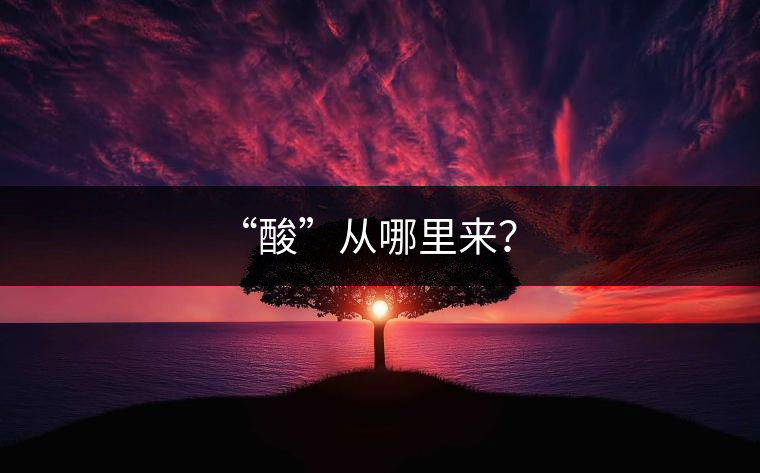 “酸”從哪里來(lái)？