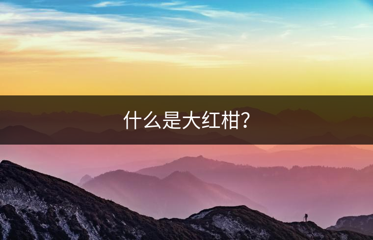 什么是大紅柑？