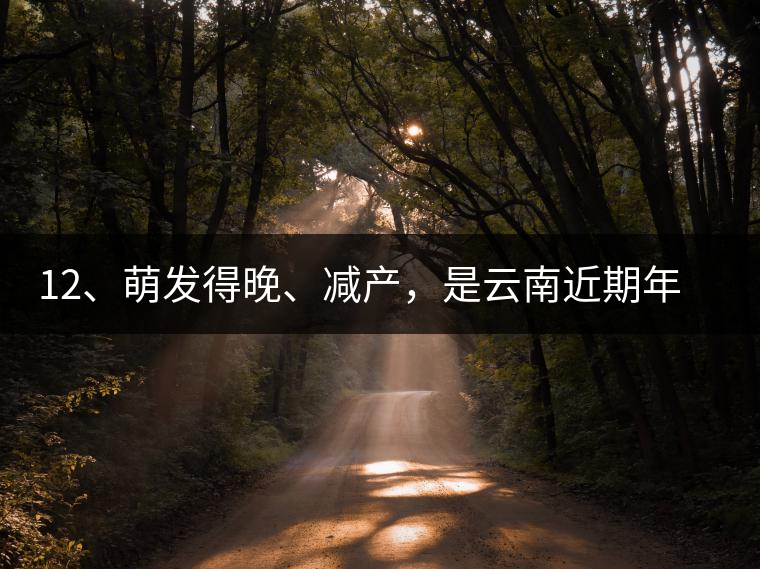 12、萌發(fā)得晚、減產(chǎn)，是云南近期年氣候變化在茶樹上的延遲反映。