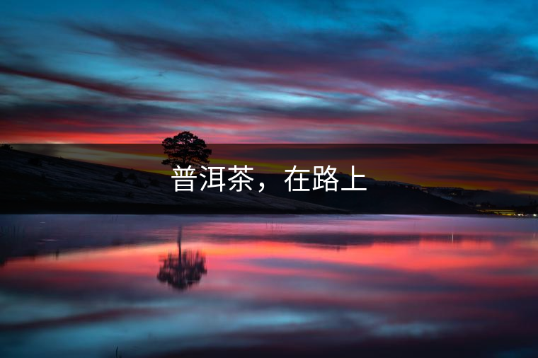 普洱茶，在路上