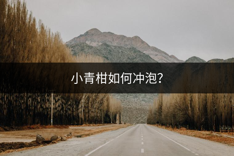 小青柑如何沖泡？