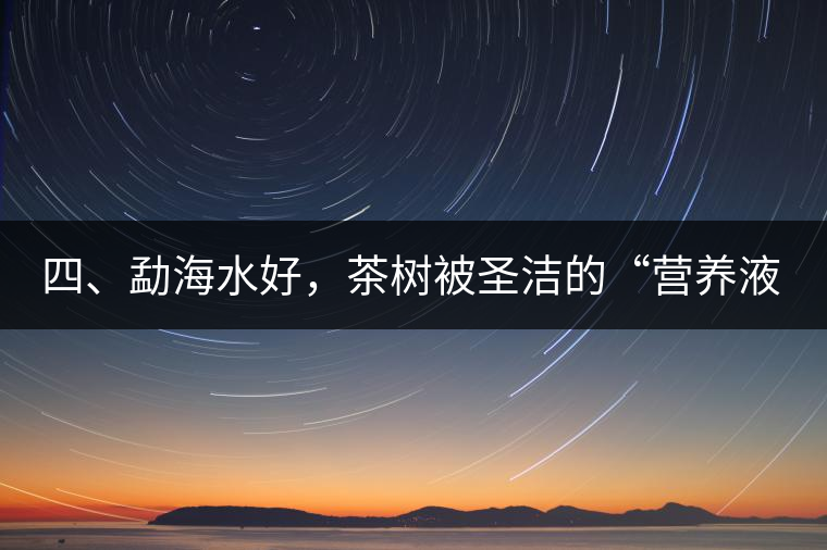 四、勐海水好，茶樹被圣潔的“營養(yǎng)液”所滋養(yǎng)