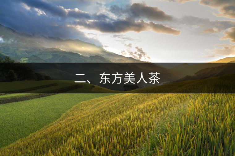 二、東方美人茶