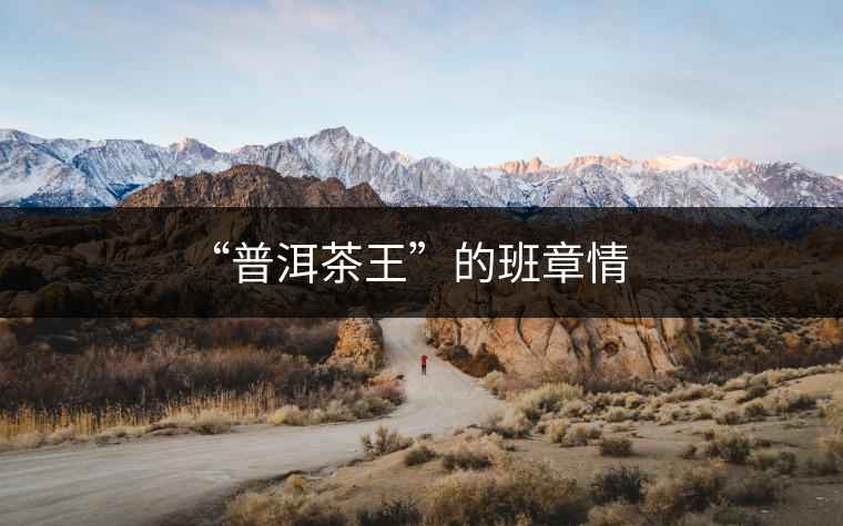 “普洱茶王”的班章情