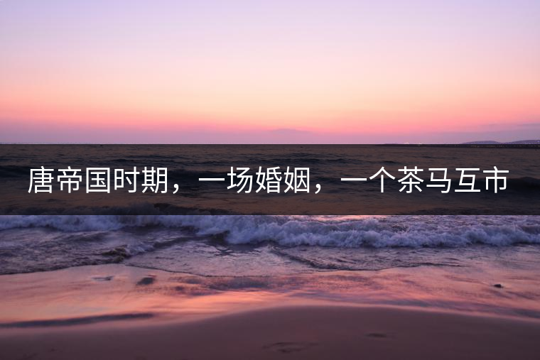 唐帝國時(shí)期，一場(chǎng)婚姻，一個(gè)茶馬互市，讓這里結(jié)束了漢藏對(duì)峙。宋代南茶北，西北茶馬司設(shè)立，因茶而改變的生活日益凸顯。元代八思巴與忽必烈在這一區(qū)域結(jié)盟，為蒙藏兩大民族交往鋪好通衢大道，明代俺答汗與達(dá)賴在山海之間追思各自先人，青海人宗喀巴創(chuàng)建的黃教通過蒙、藏兩大領(lǐng)袖的推廣，締造了影響至今的格局。大清經(jīng)過康、雍、乾三代勵(lì)精圖治，滿、藏、蒙各自龐大的疆域第一次完整地統(tǒng)轄在中央帝國的版圖下。