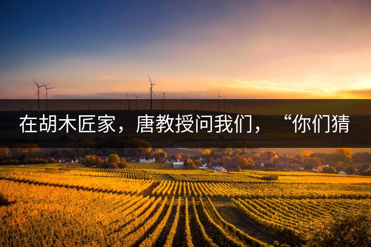 在胡木匠家，唐教授問我們，“你們猜猜他們家的茶放在哪里？”我們回答廚房、客廳都不對(duì)，“難道像寺院一樣，有專門的茶房不成？”教授和木匠都哈哈大笑，連連搖頭。在木匠的帶領(lǐng)下，我們來到主人的臥室，茶磚整齊有序地堆放在床頭柜里。一家之主的臥室，既是休息之所，亦是一家財(cái)富與傳家寶的收藏地。茶之精貴，毋需多言。