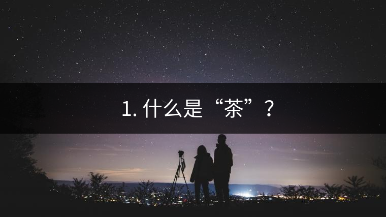 ? 1. 什么是“茶”？