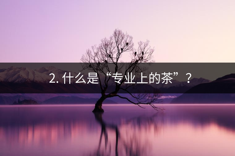 ? 2. 什么是“專業(yè)上的茶”？