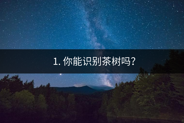 ??1. 你能識(shí)別茶樹嗎？