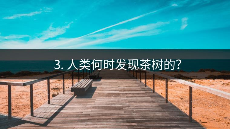 ? 3. 人類何時(shí)發(fā)現(xiàn)茶樹的？