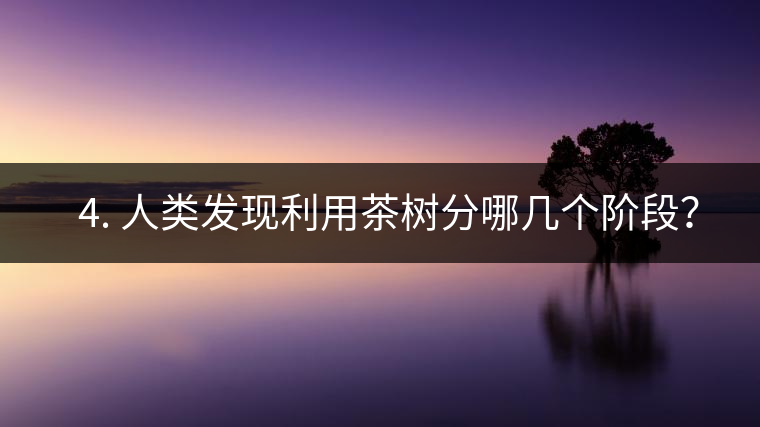 ? 4. 人類發(fā)現(xiàn)利用茶樹分哪幾個(gè)階段？