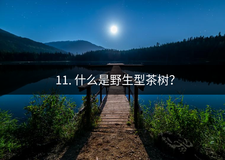 ? 11. 什么是野生型茶樹？