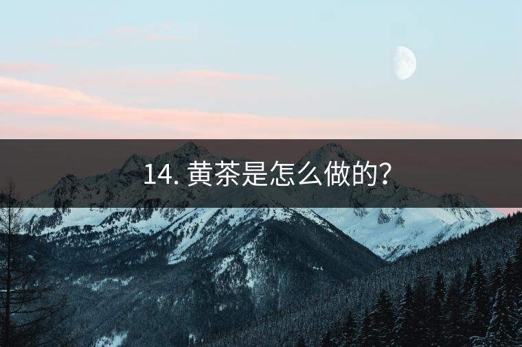 ? 14. 黃茶是怎么做的？