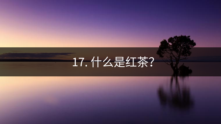 ? 17. 什么是紅茶？
