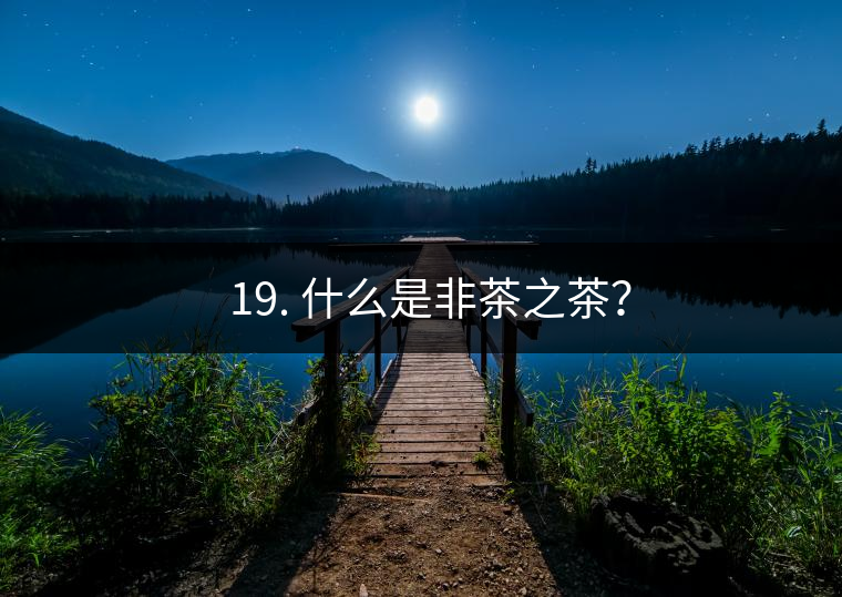 ? 19. 什么是非茶之茶？