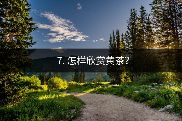 ? 7. 怎樣欣賞黃茶？