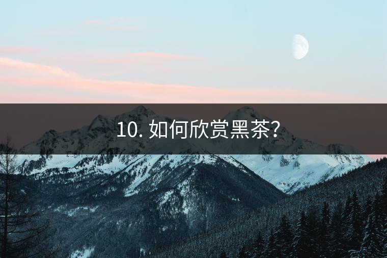 ? 10. 如何欣賞黑茶？